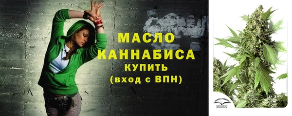 прущий лед Арсеньев